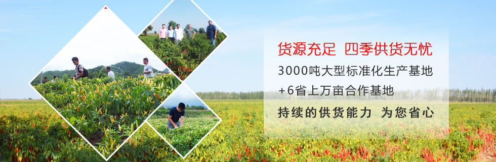 ���������I�N�۾W�j���wȫ��